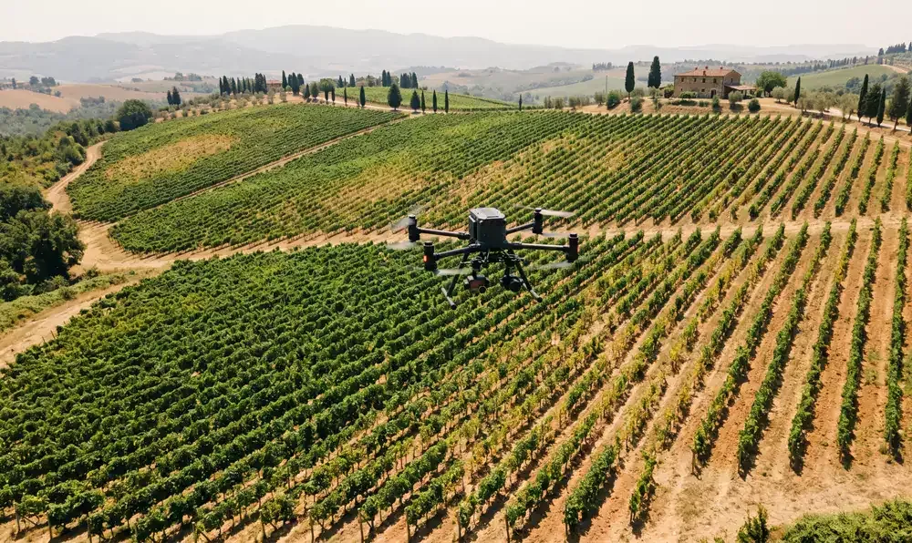 Drone che sorvola un vigneto per monitoraggio agricolo.