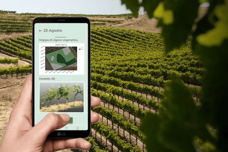Estudo de caso: o uso do app iAgro no vinhedo