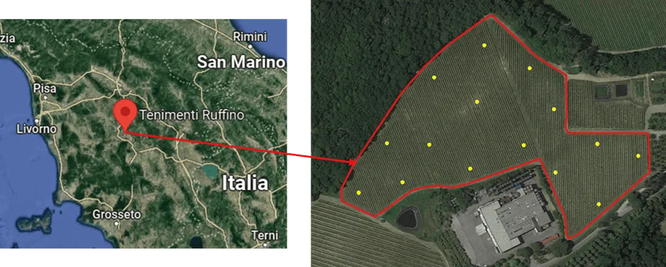 levantamento app iAgro vinhedo