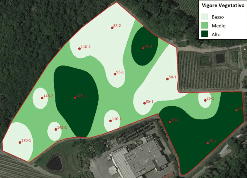 mapa de vigor LAI vinhedo