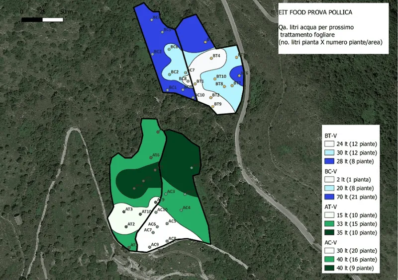 mapa aplikacyjna nawożenia gaju oliwnego
