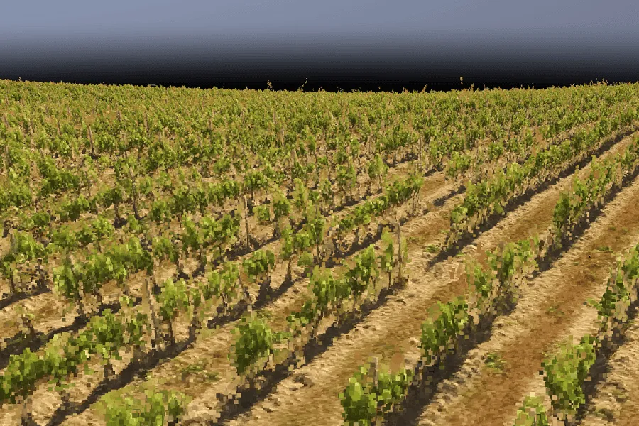 Projeto: AgroTwin, IA e visão computacional para otimizar os tratamentos fitossanitários