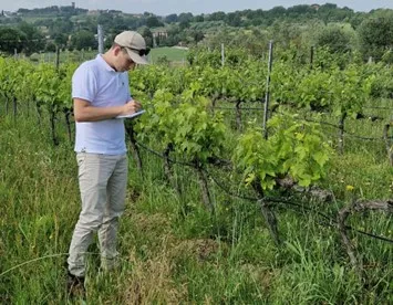 levantamento de vinha agricultura de precisão