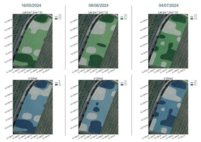 mapas de vigor e prescrição vinha