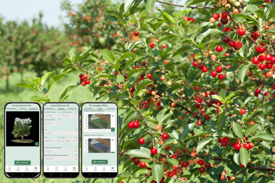 Projeto: SmartCherry, um DSS para smartphone para democratizar o acesso à agricultura de precisão aos cerejicultores