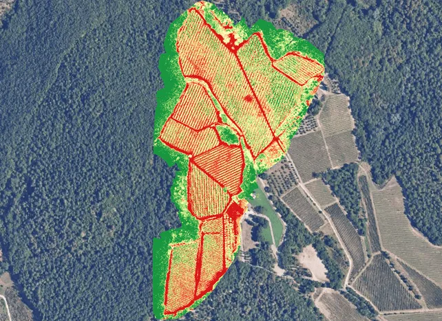 mapa de vigor vinha drone