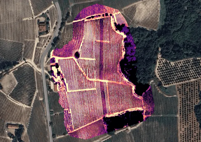 mapa térmico vinha drone