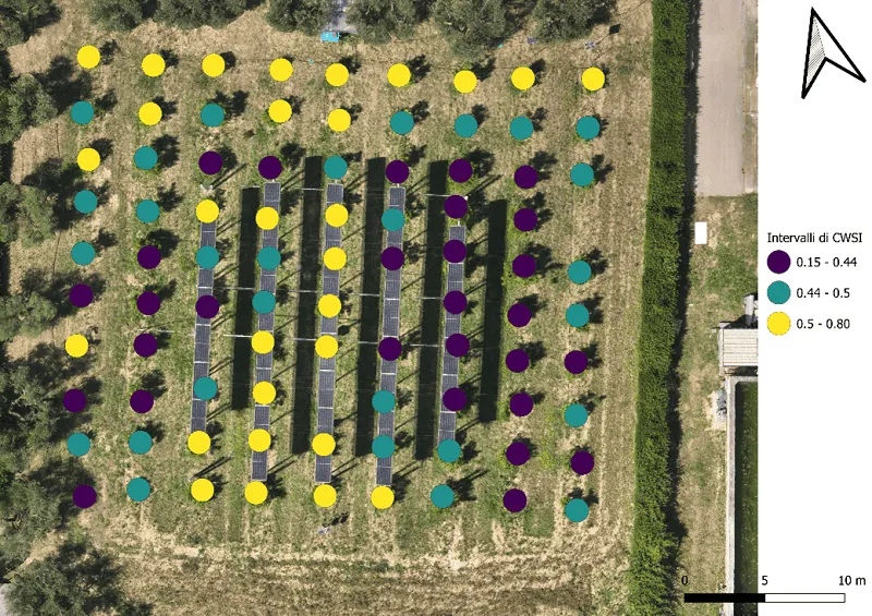CWSI analysis drone agrivoltaics