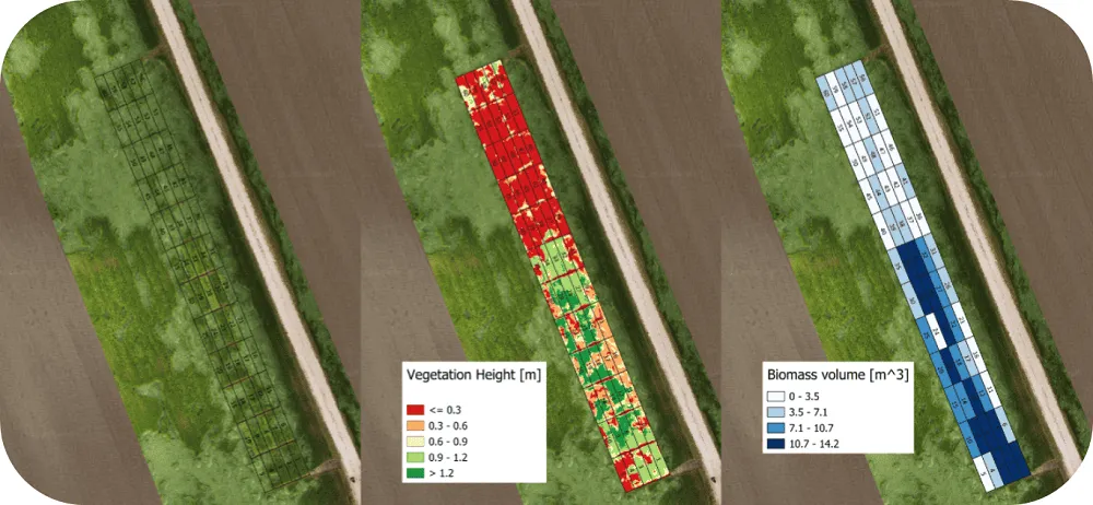 análise do acamamento de culturas cerealíferas por drone