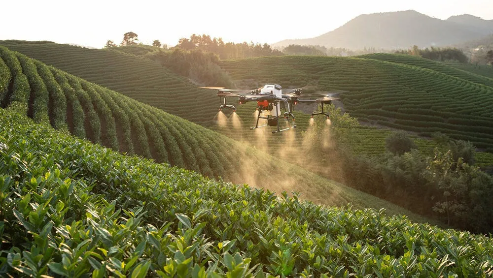 tratamentos fitossanitários com drones