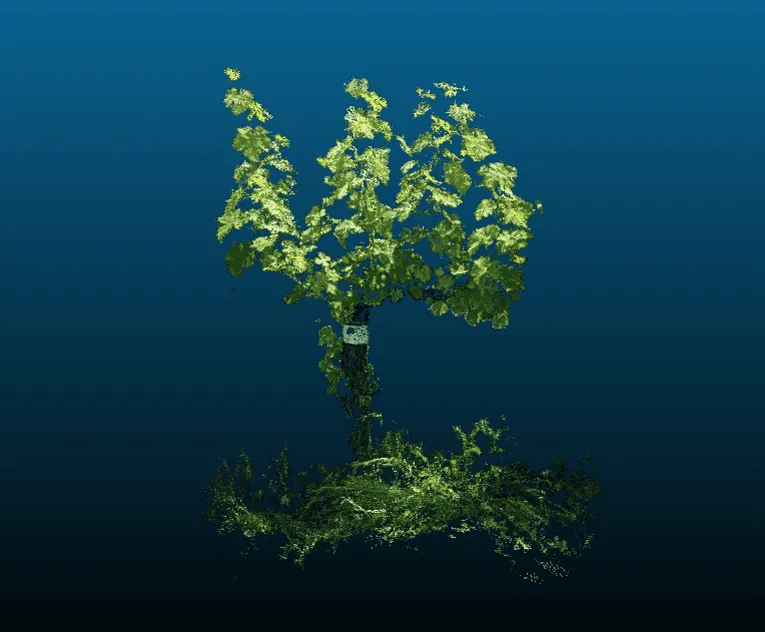 digital twin vite