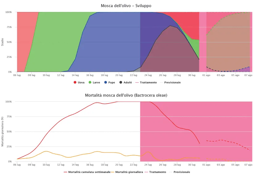 model prognostyczny nasionnicy oliwkowej
