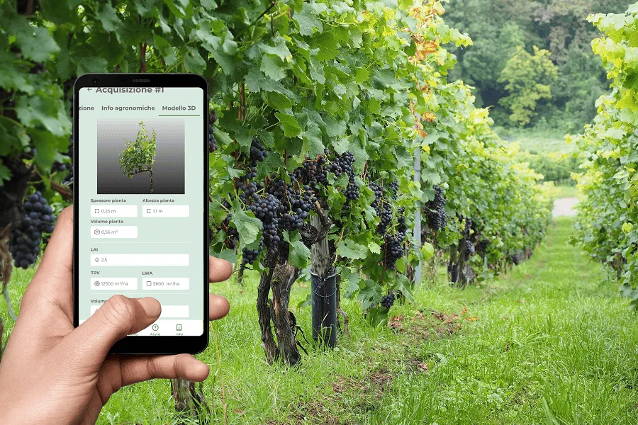 Projeto: iVine, o gémeo digital da vinha para apoiar os viticultores