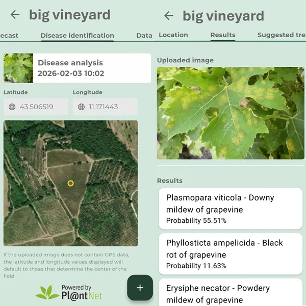 Captura de ecrã da app iAgro: Diagnóstico por foto