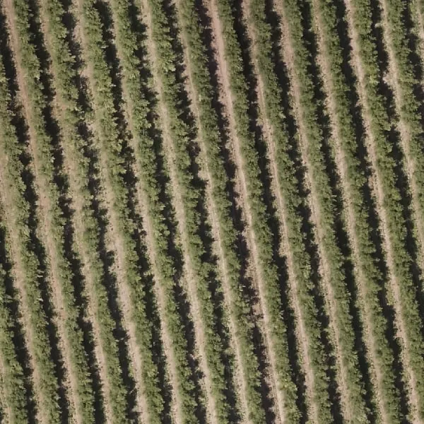 Fotogrametria aérea