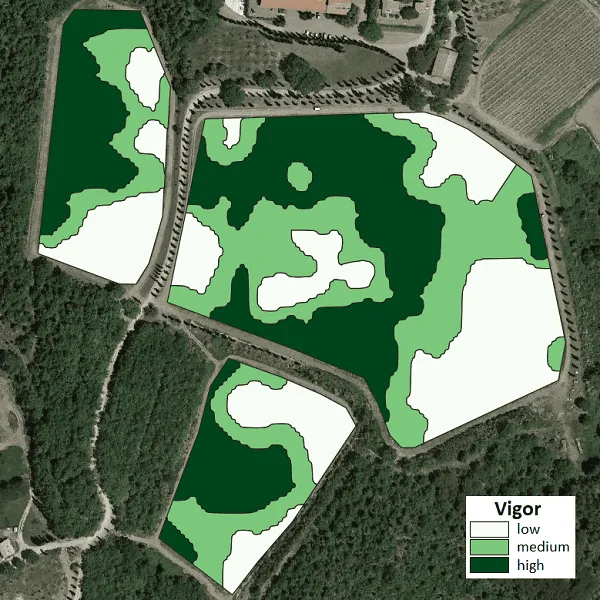 Captura de ecrã da app iAgro: Mapa de vigor (LAI)