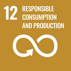 Objetivo de Desenvolvimento Sustentável 12: Produção e consumo sustentáveis