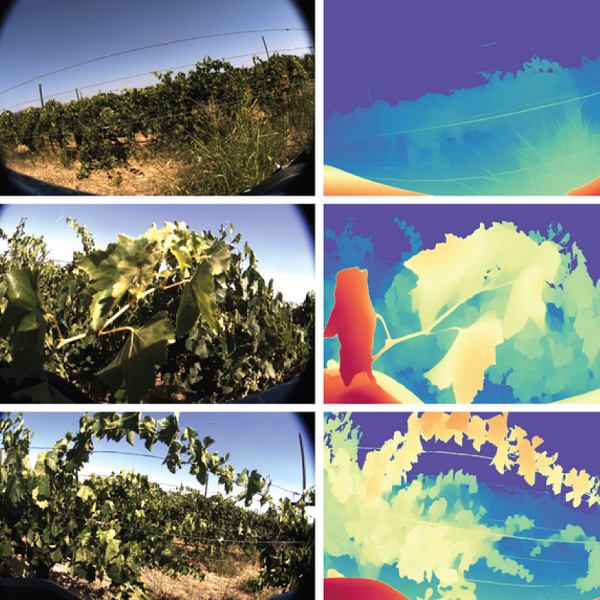 agrobit-itracteur-vigueur-végétatif