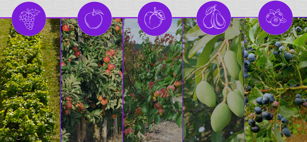 itractor-agrobit-crops