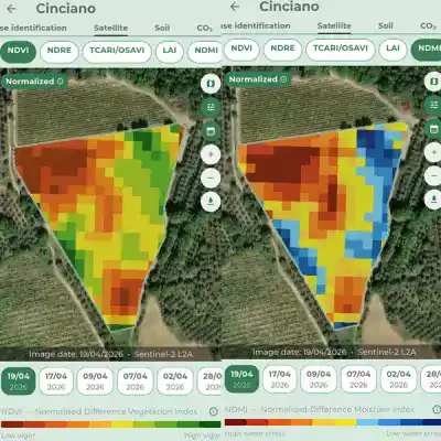 Cultivation plant with soil moisture map Map of soil moisture in an agricultural field, displayed with colors indicating umi levels.